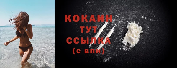 крисы Заводоуковск