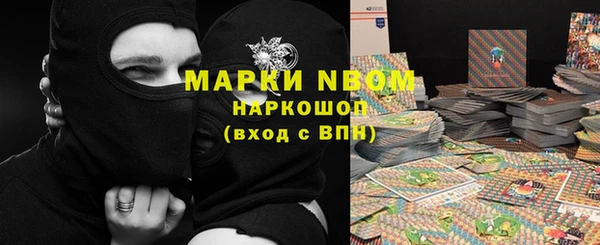 крисы Заводоуковск