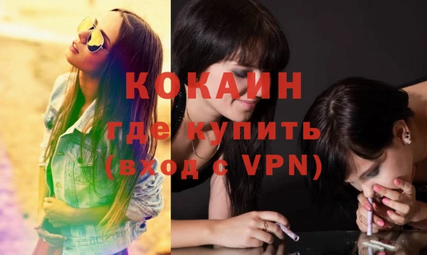 крисы Заводоуковск