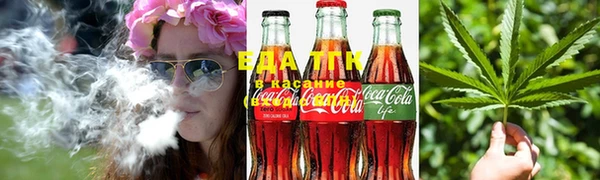 крисы Заводоуковск