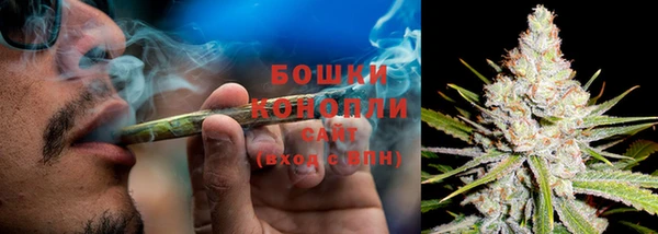 крисы Заводоуковск